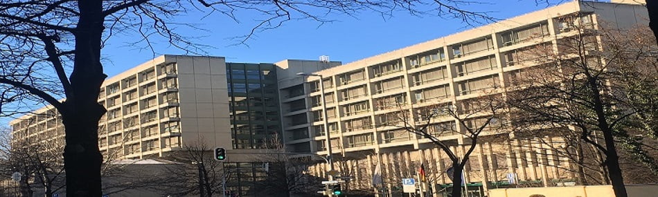 IS-kvinde får 14 års fængsel for forbrydelser mod ezidier