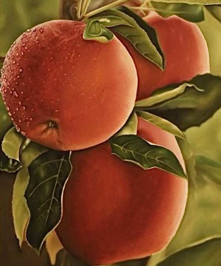 La Force Inébranlable d’une Artiste Ezidi