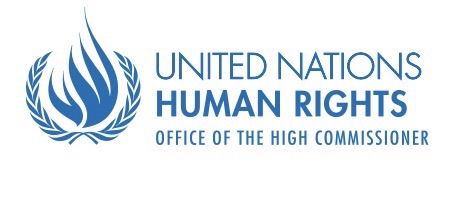 Ezidi survivor among voices shaping global charter on torture victims’ rights